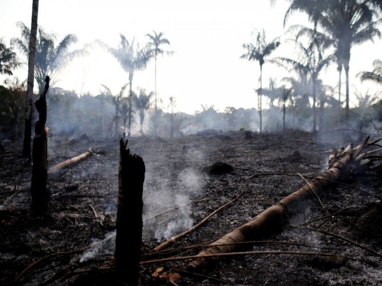 Dopo la Siberia gli incendi devastano anche l’Amazzonia