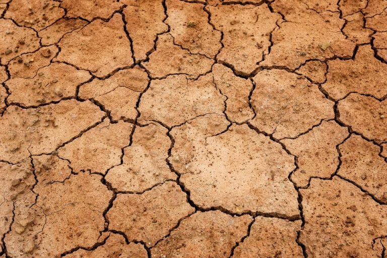 L’Africa e i cambiamenti climatici (Bruna Sironi)