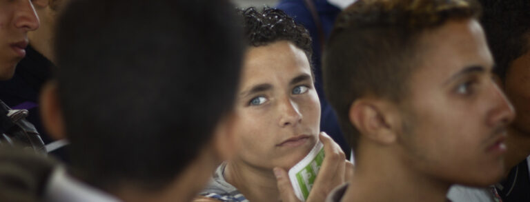 Gli stranieri, la propaganda e la realtà (Sarah Franzosini)