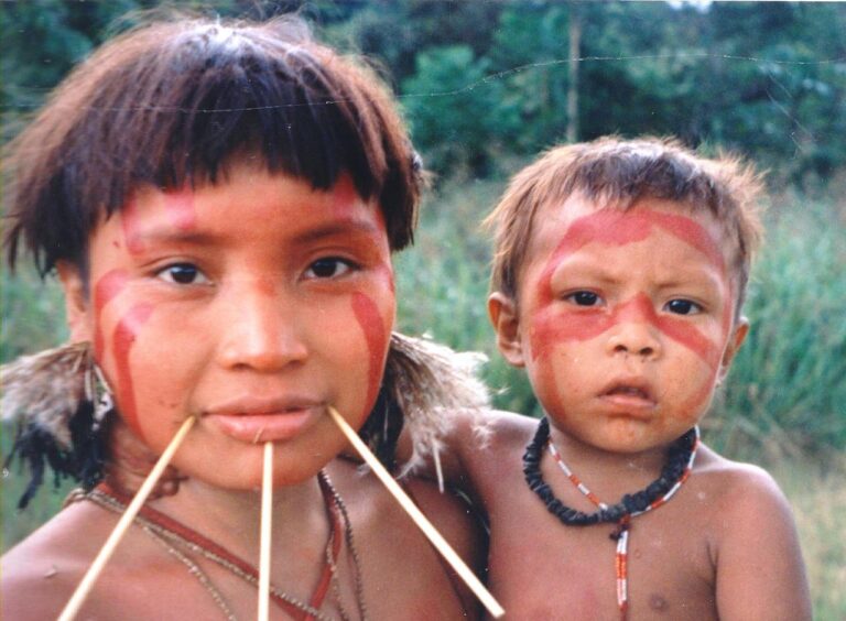 La Rete Ecclesiale Panamazzonica denuncia all’Onu il rischio di genocidio degli Yanomami in Brasile (Eletta Cucuzza)