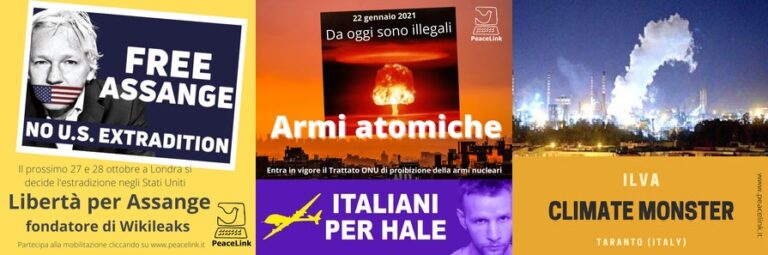 Cosa ha fatto PeaceLink nel 2021