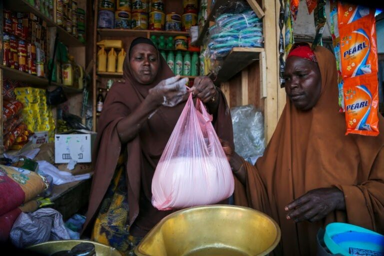 La farsa dei corridoi umanitari per le “navi del grano” destinato all’Africa (Antonella Napoli)