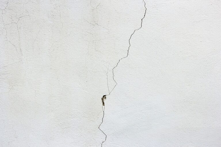 Brecce nel muro del sistema (Emma Martínez Ocaña)